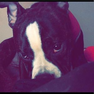 Meet your Posher, Alida